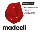 logo_Madeeli_vectorise_1.jpg
